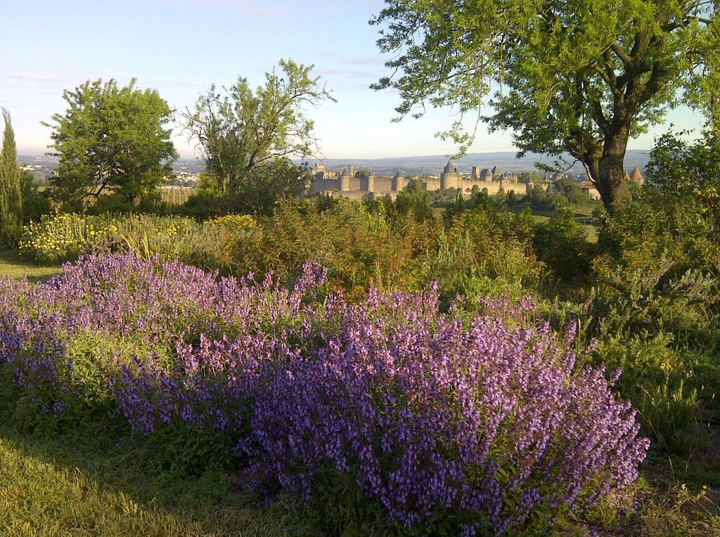 B&B Dochavert Carcassonne Eksteriør billede
